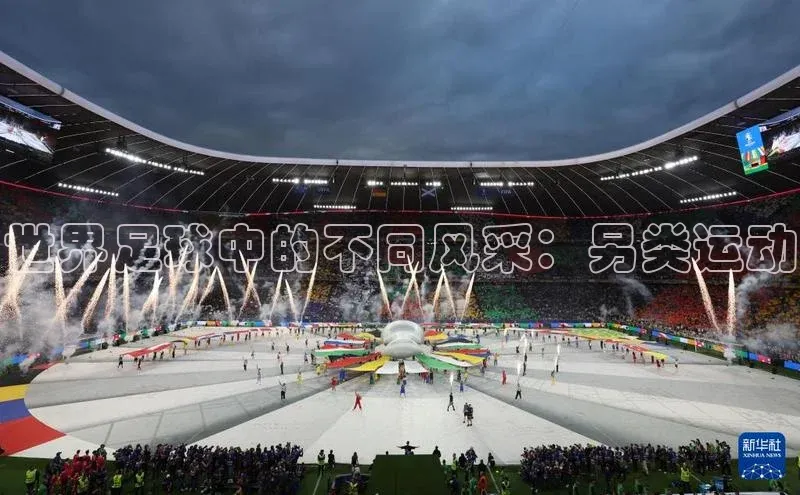 3377体育官方在线登录入口文心一言世界足球中的不同风采：另类运动