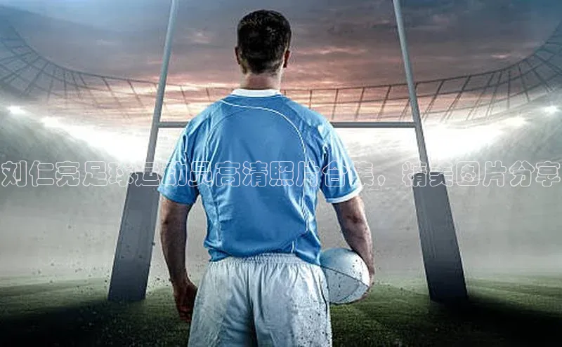 3377体育app官方网站百度数据开放平台刘仁亮足球运动员高清照片合集，精美图片分享