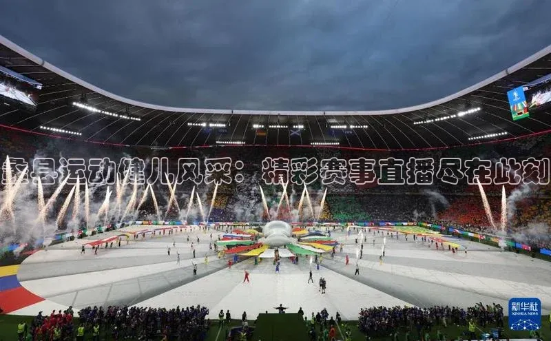 3377体育网站入口下载同程蠡县运动健儿风采：精彩赛事直播尽在此刻