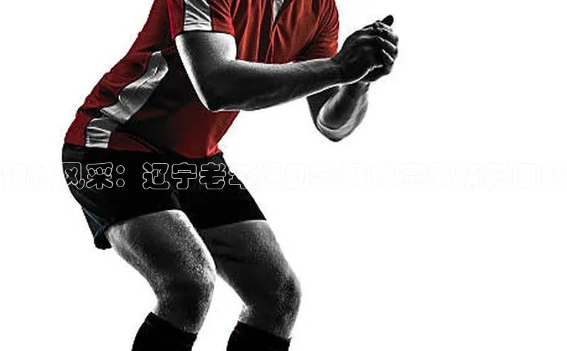 3377体育app官方网站中海达银龄风采：辽宁老年运动会网球赛事精彩回顾