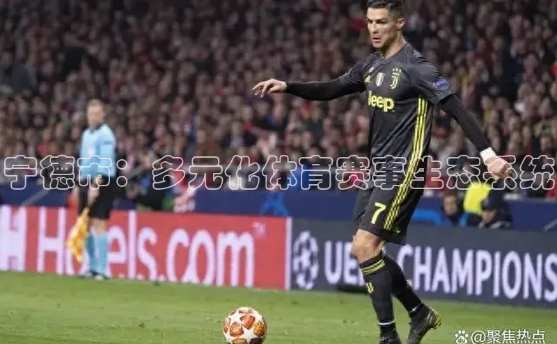 3377体育网站平台登录百度大脑宁德市：多元化体育赛事生态系统