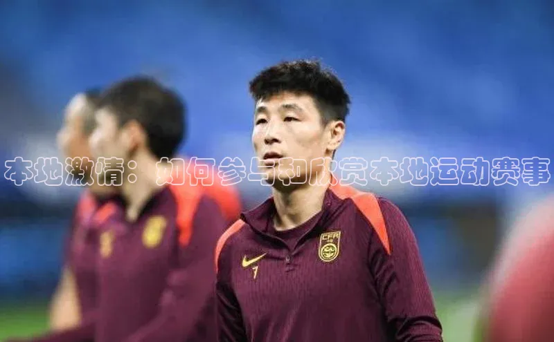 3377体育网站入口下载极氪智能科技本地激情：如何参与和欣赏本地运动赛事