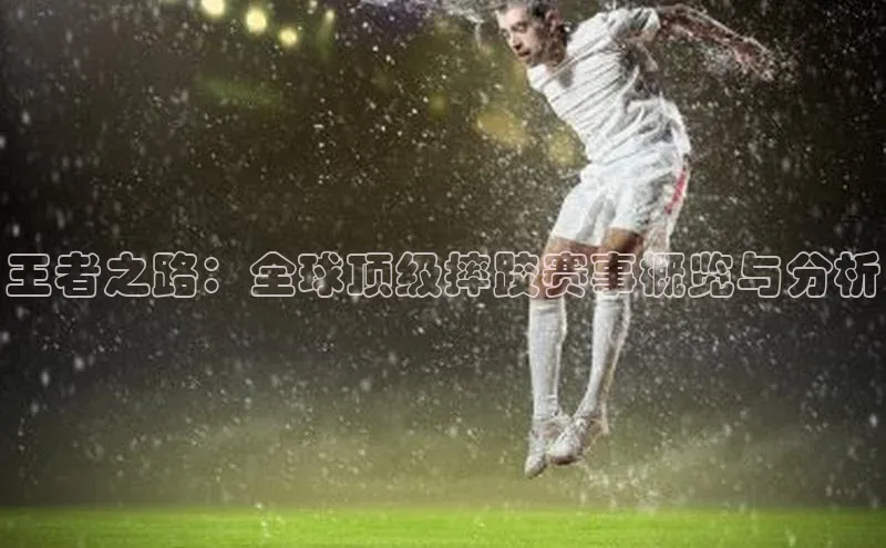 王者之路：全球顶级摔跤赛事概览与分析