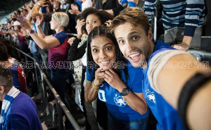 观赛之花：从入场到退场的全程体验——以体育赛事观礼为例
