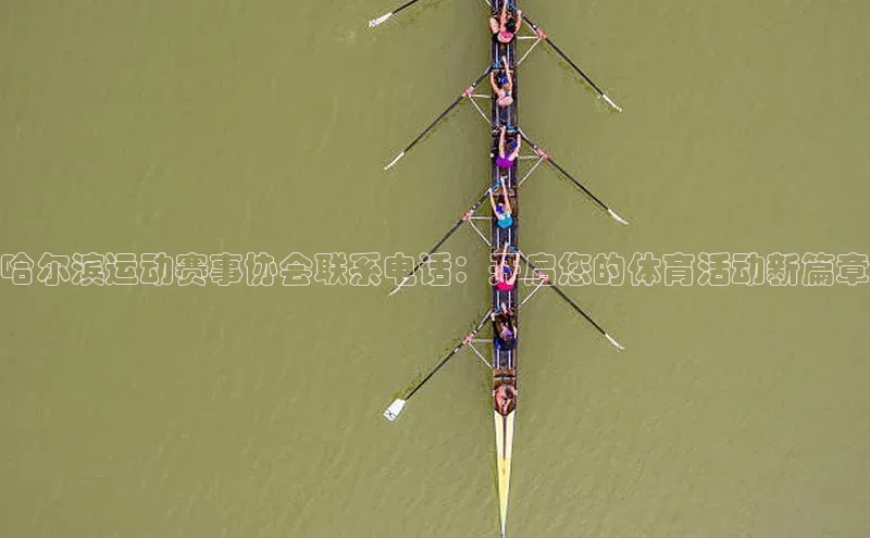 3377.体育网站平台登录