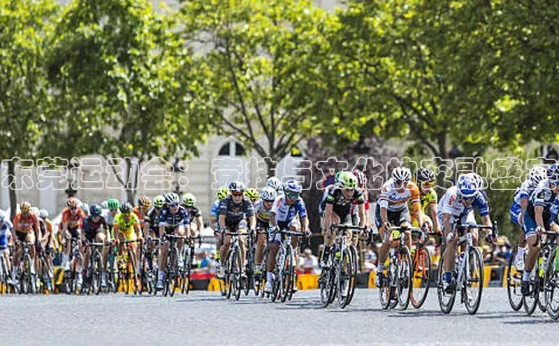 东莞运动会：竞技与文化的交融盛宴