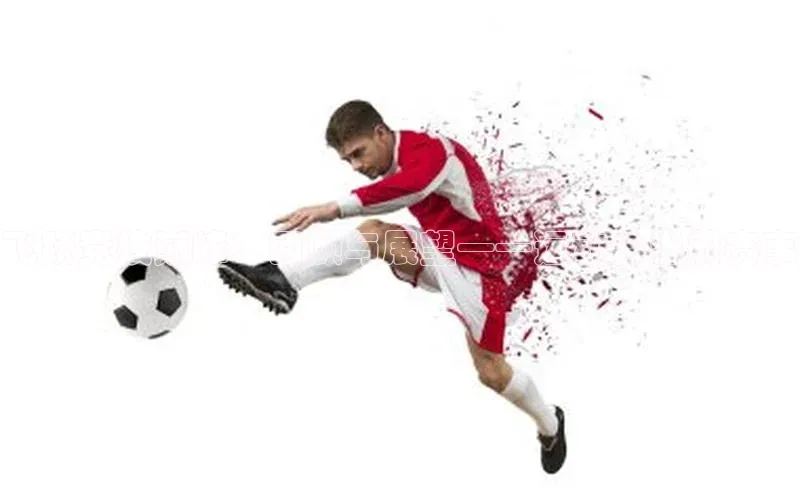 飞跃竞技巅峰：回顾与展望——运动会当前赛事