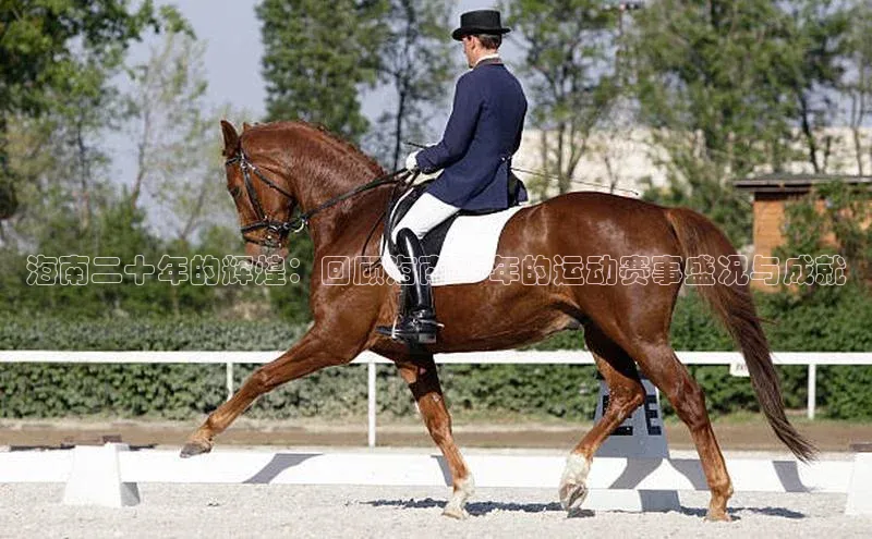 海南二十年的辉煌：回顾海南20年的运动赛事盛况与成就
