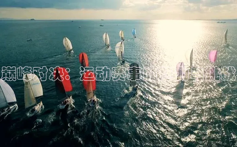 3377体育官网下载