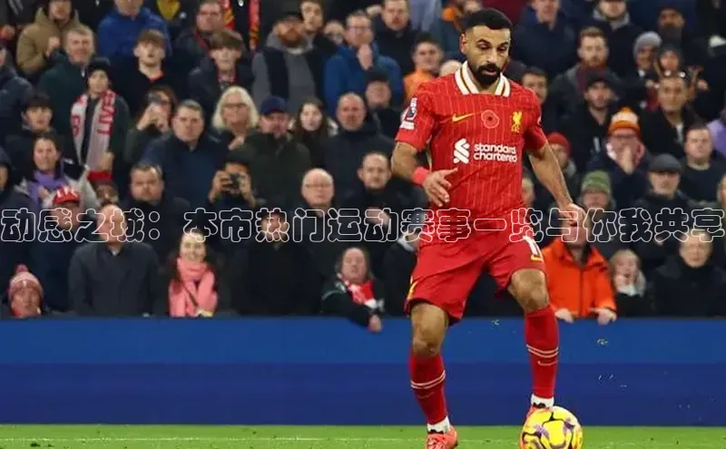 3377体育app登录入口手机版