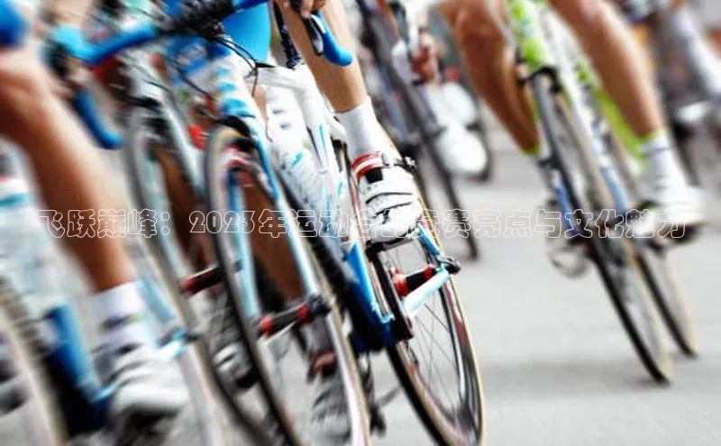 3377体育app官网下载地址