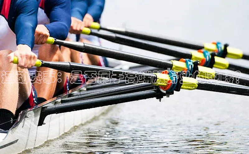 3377体育网页入口