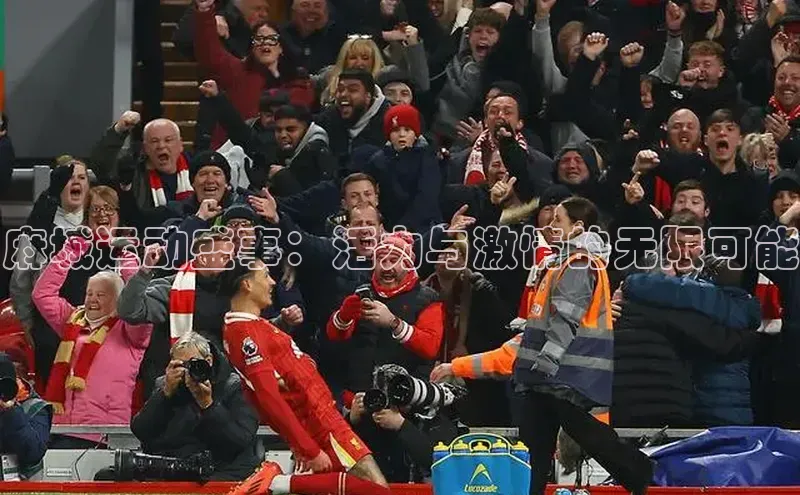 3377体育官方在线登录入口