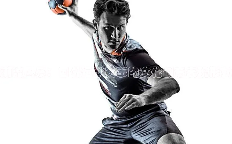 3377体育app登录入口手机版