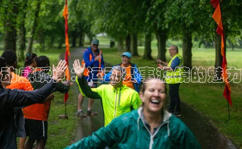 3377体育app登录入口手机版