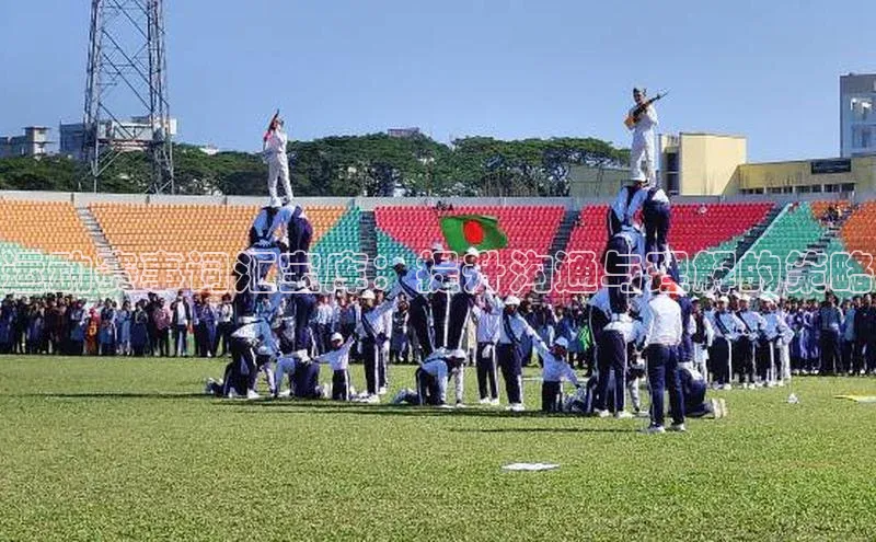 3377体育app官方网站