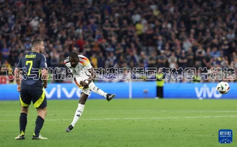 3377体育app官方网站