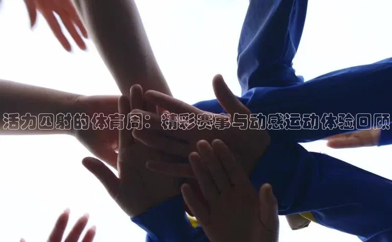 3377体育网站入口下载