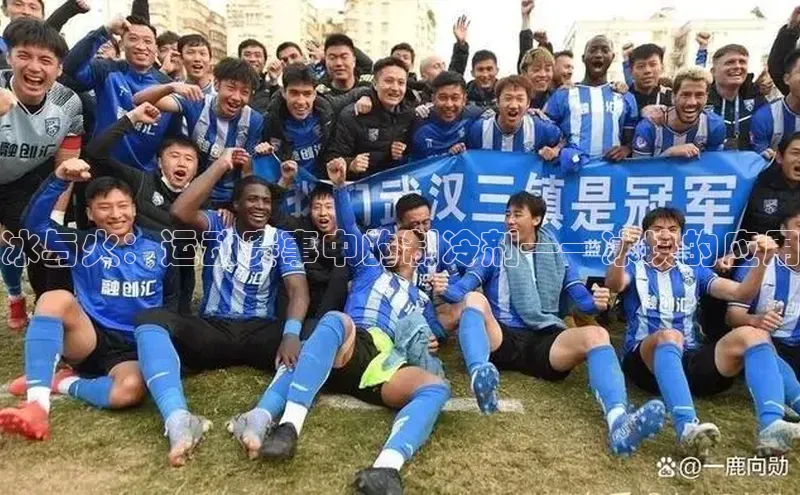 3377体育网站平台登录