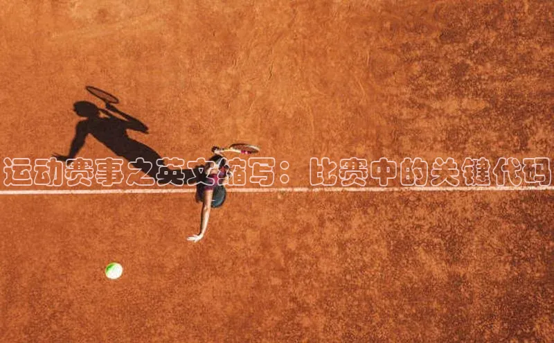 3377体育网站平台登录