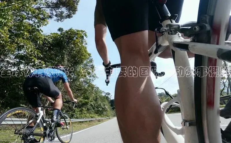 3377体育app登录入口手机版