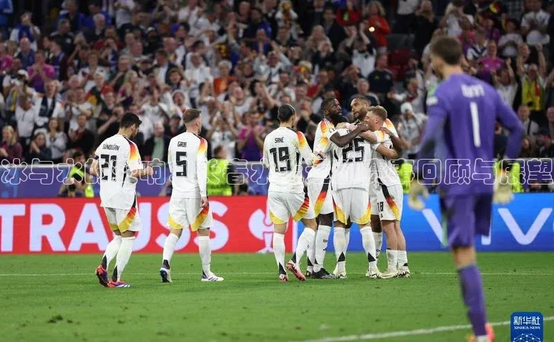 3377体育app登录入口手机版