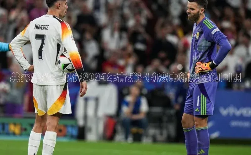 3377体育网页入口