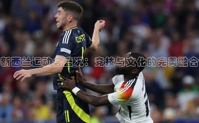 3377体育官方在线登录入口