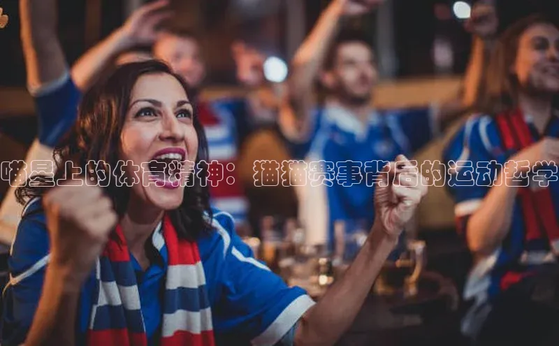 喵星上的体育精神：猫猫赛事背后的运动哲学