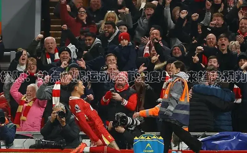 3377体育app登录入口手机版